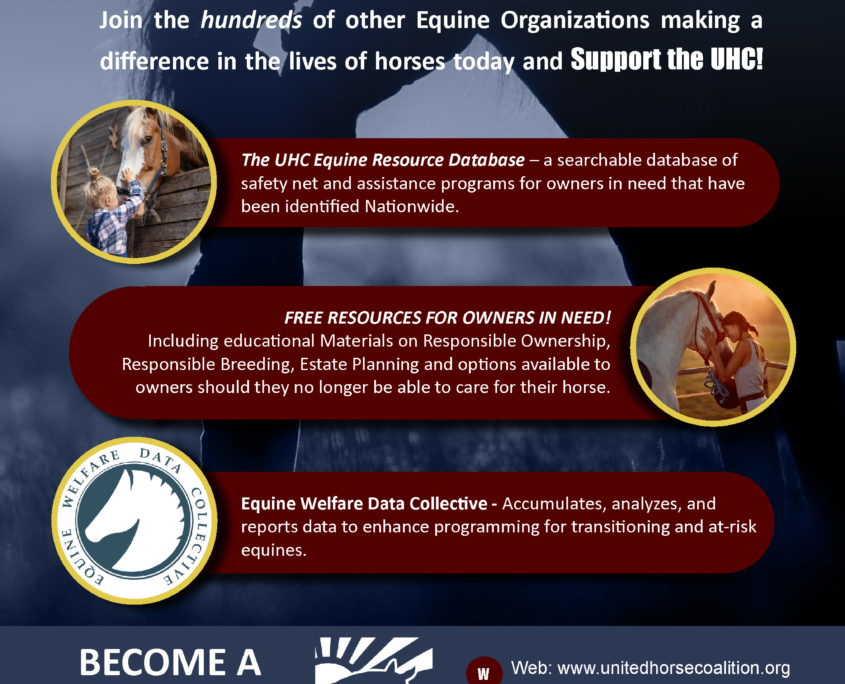 United Horse Coalition | Helping Horses At-risk Or In Transition