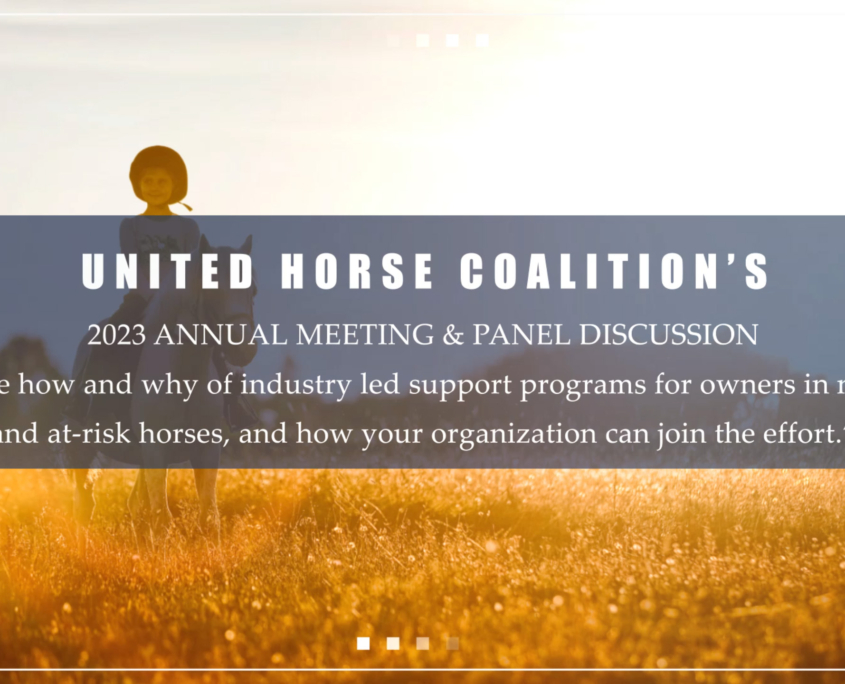 United Horse Coalition | Helping Horses At-risk Or In Transition