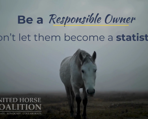 Be a responsible owner. Don't let them become a statistic. Lone horse walking in a foggy pasture. United Horse Coalition.