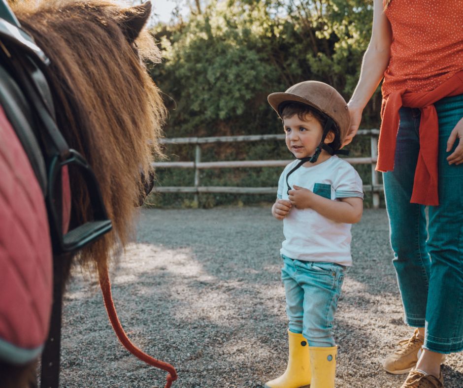 Picture of a pony and small child. Child looks excited to ride.