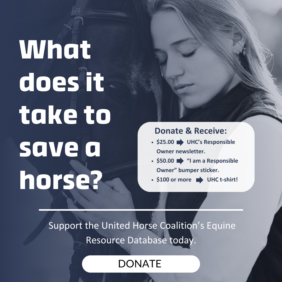 Image of a woman hugging a horse with the text "what does it take to save a horse?" Donate to the United Horse Coalition.