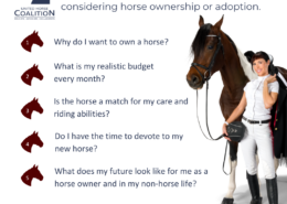 Is horse ownership right for me?