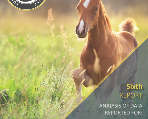 equine welfare data collective report 6