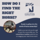 Finding the right horse.