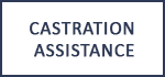 Castration Assistance