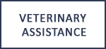 Veterinary Assistance